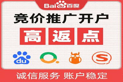 百度推广平台案例剖析：揭秘广告投放策略